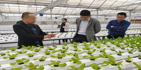 蜜桃成品人视频免费入口