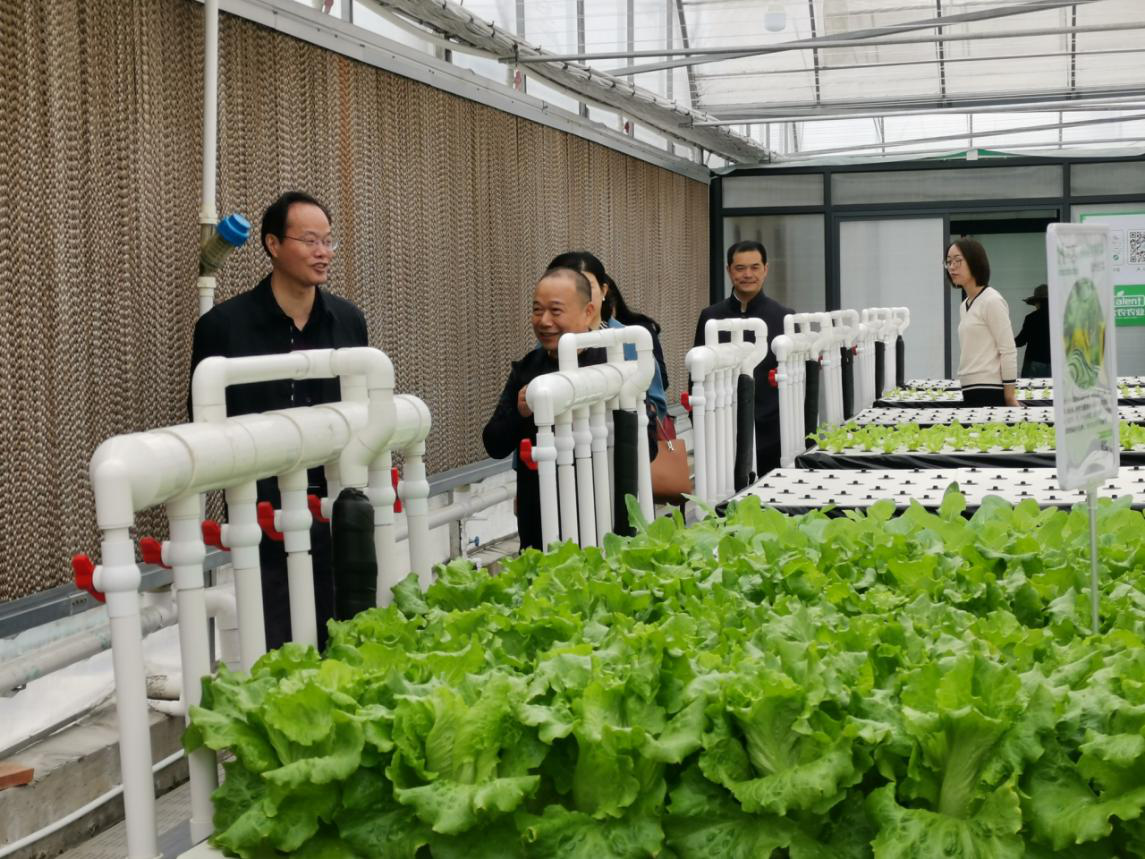 蜜桃成品人视频免费入口