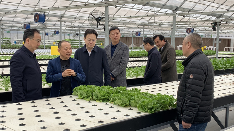 蜜桃成品人视频免费入口