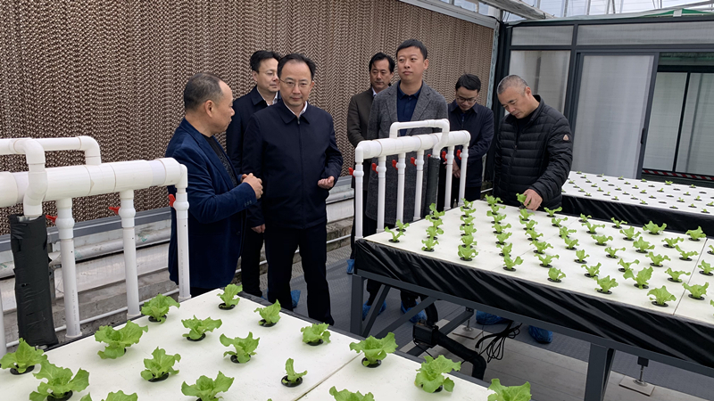 蜜桃成品人视频免费入口