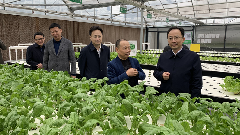 蜜桃成品人视频免费入口