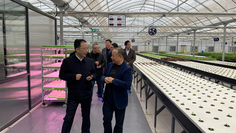 蜜桃成品人视频免费入口