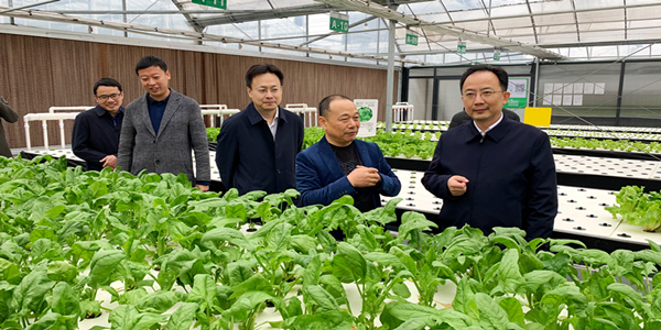 蜜桃成品人视频免费入口