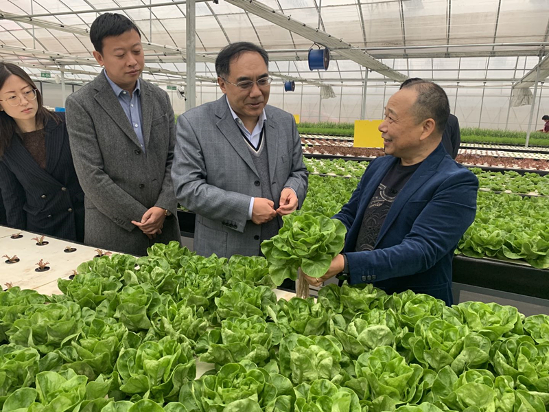 蜜桃成品人视频免费入口