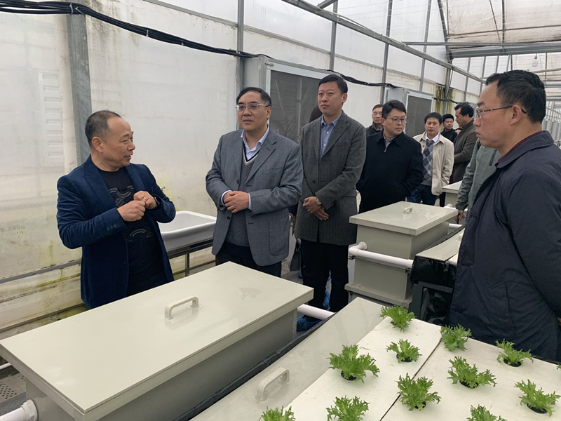 蜜桃成品人视频免费入口