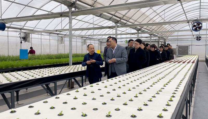 蜜桃成品人视频免费入口