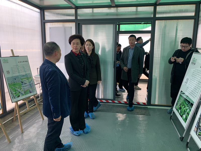 蜜桃成品人视频免费入口