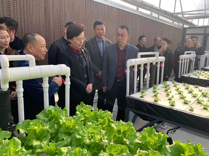 蜜桃成品人视频免费入口