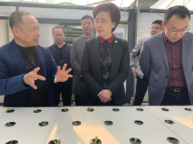 蜜桃成品人视频免费入口