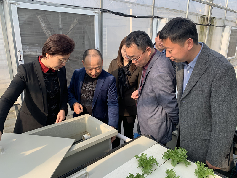 蜜桃成品人视频免费入口