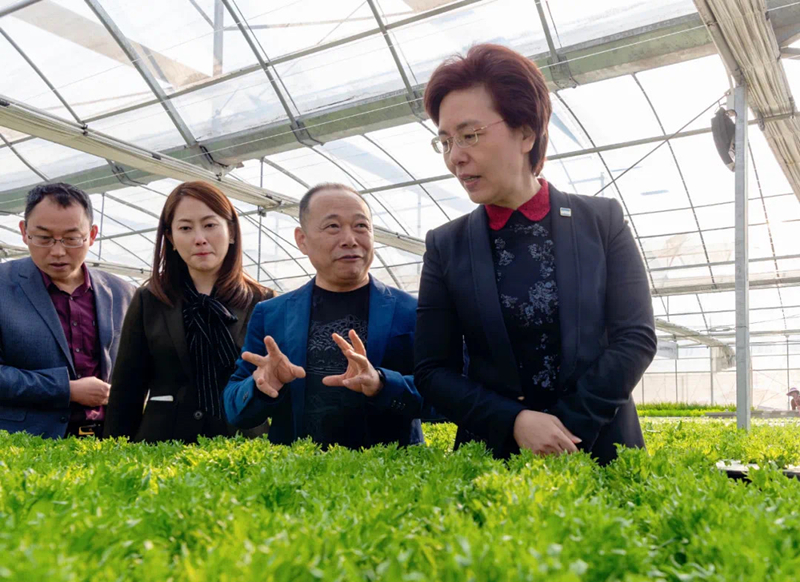 蜜桃成品人视频免费入口