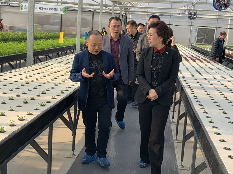 蜜桃成品人视频免费入口