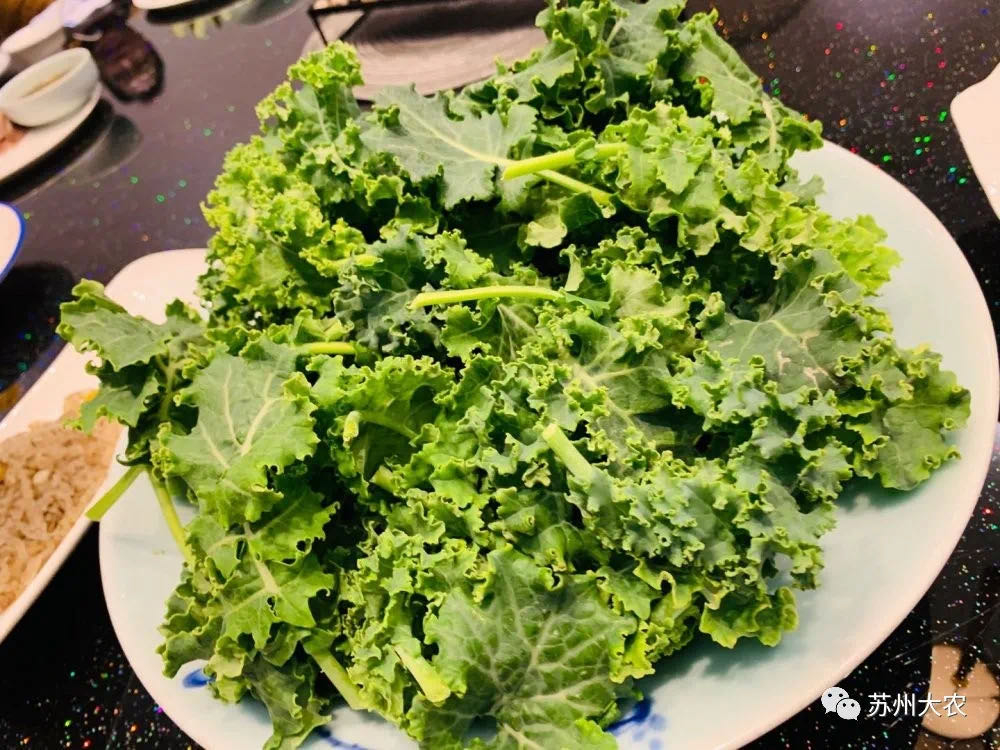 蜜桃成品人视频免费入口