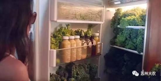 蜜桃成品人视频免费入口