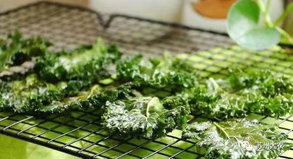 蜜桃成品人视频免费入口