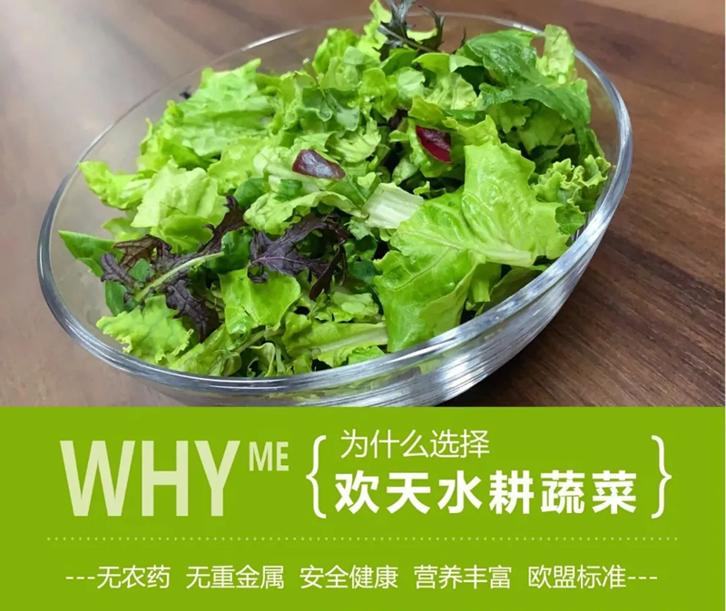 蜜桃成品人视频免费入口