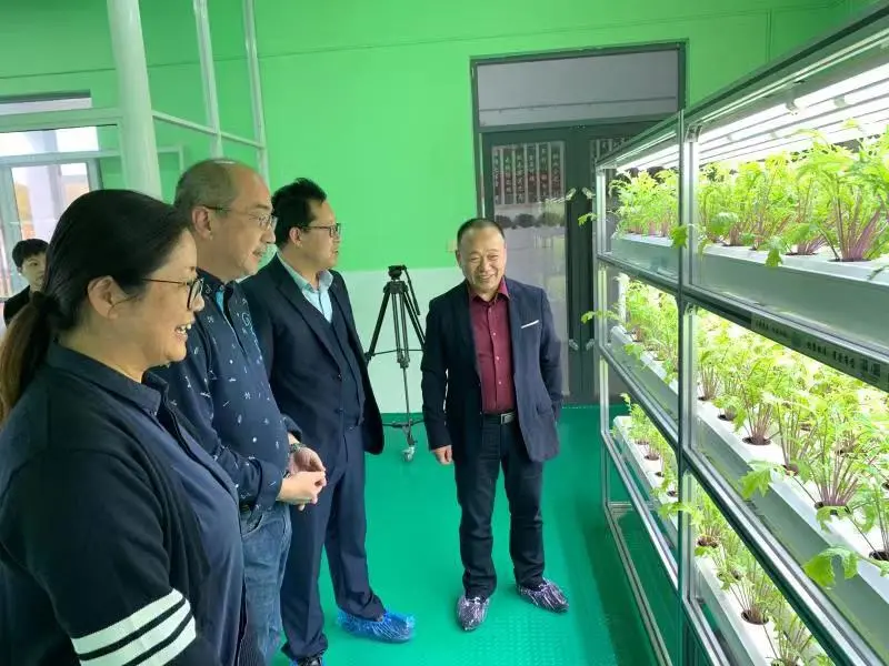 蜜桃成品人视频免费入口