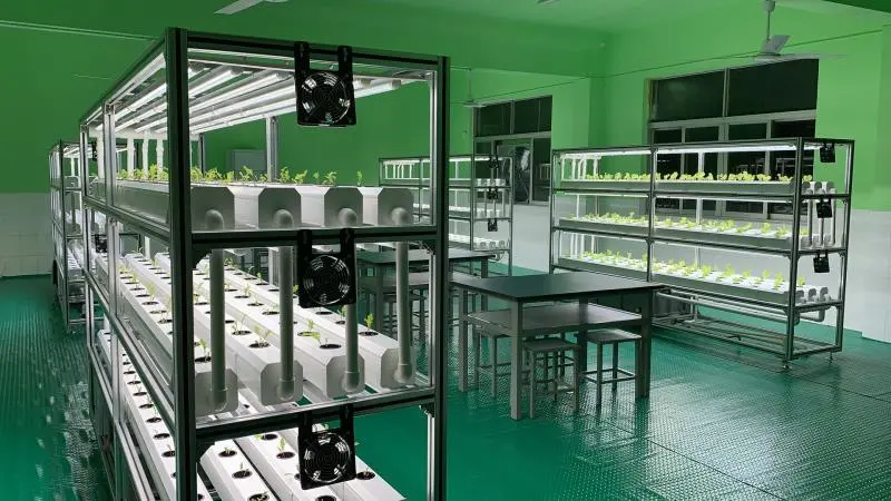 蜜桃成品人视频免费入口