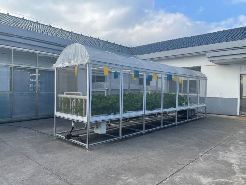 蜜桃成品人视频免费入口