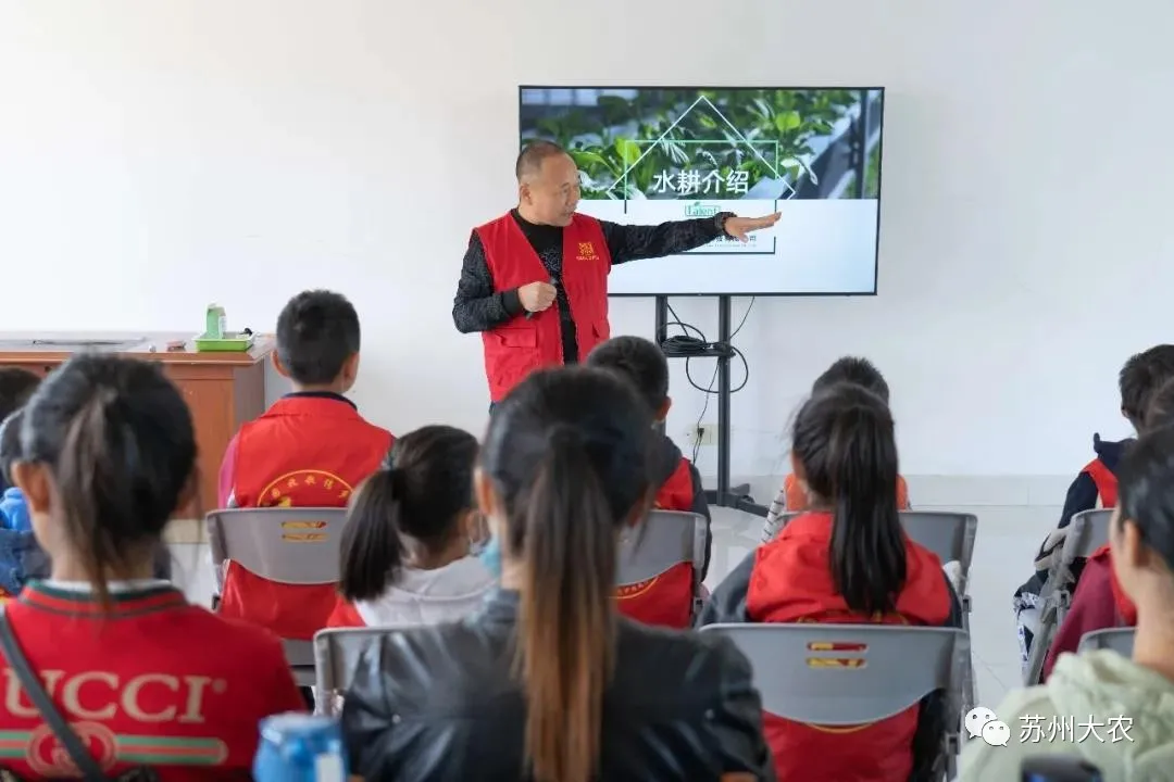 蜜桃成品人视频免费入口