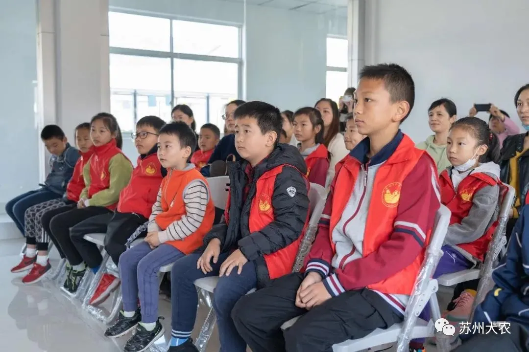 蜜桃成品人视频免费入口