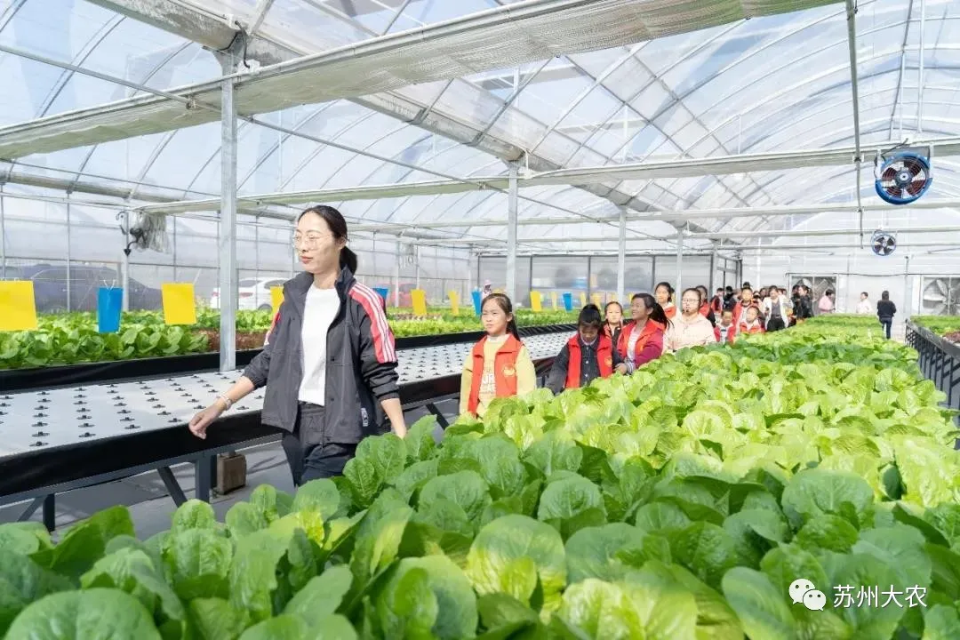 蜜桃成品人视频免费入口