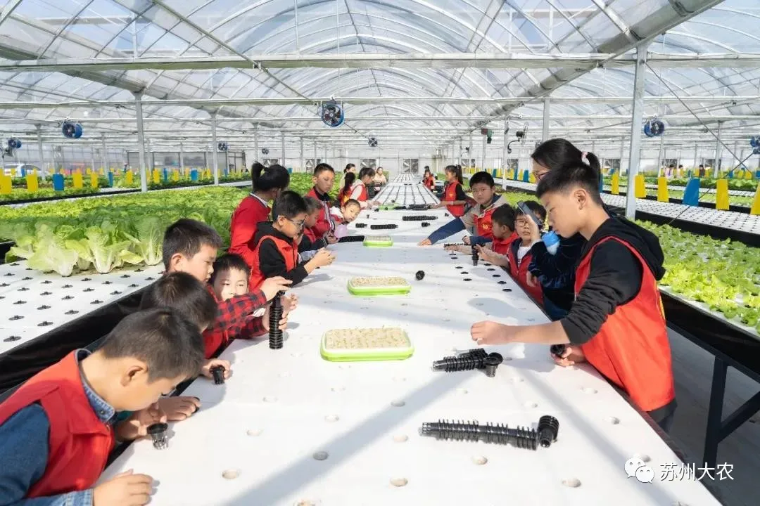 蜜桃成品人视频免费入口