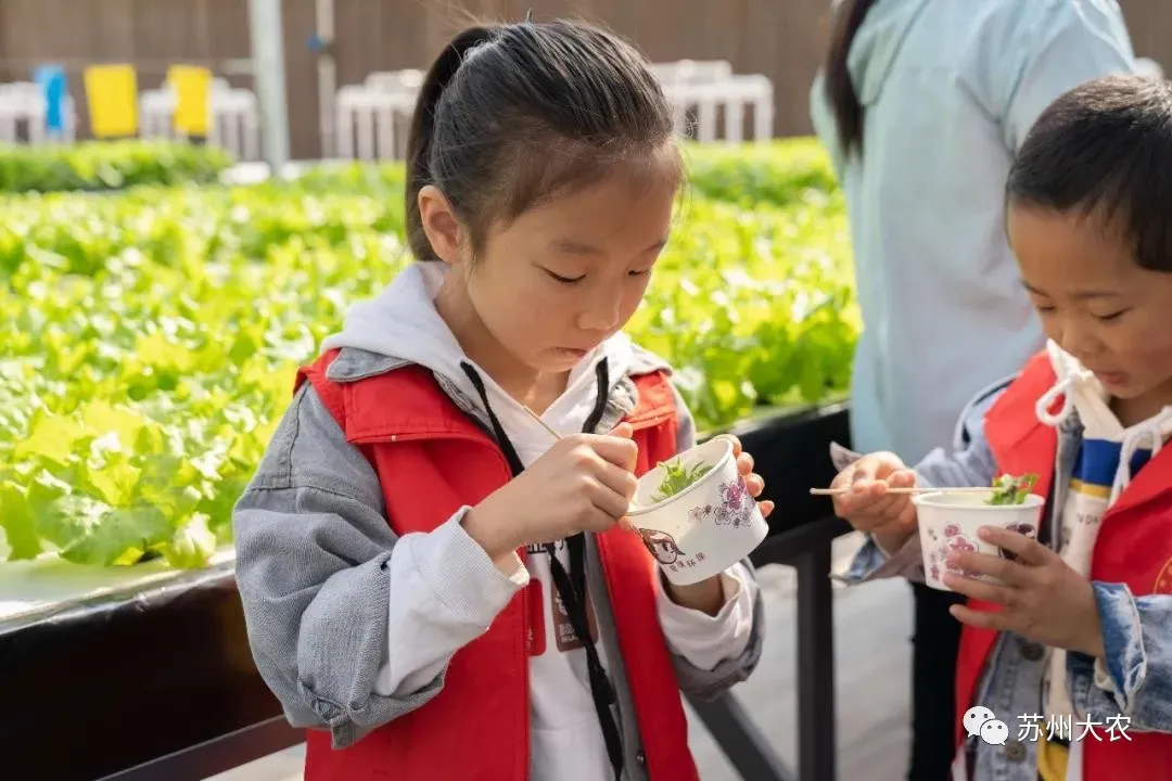 蜜桃成品人视频免费入口