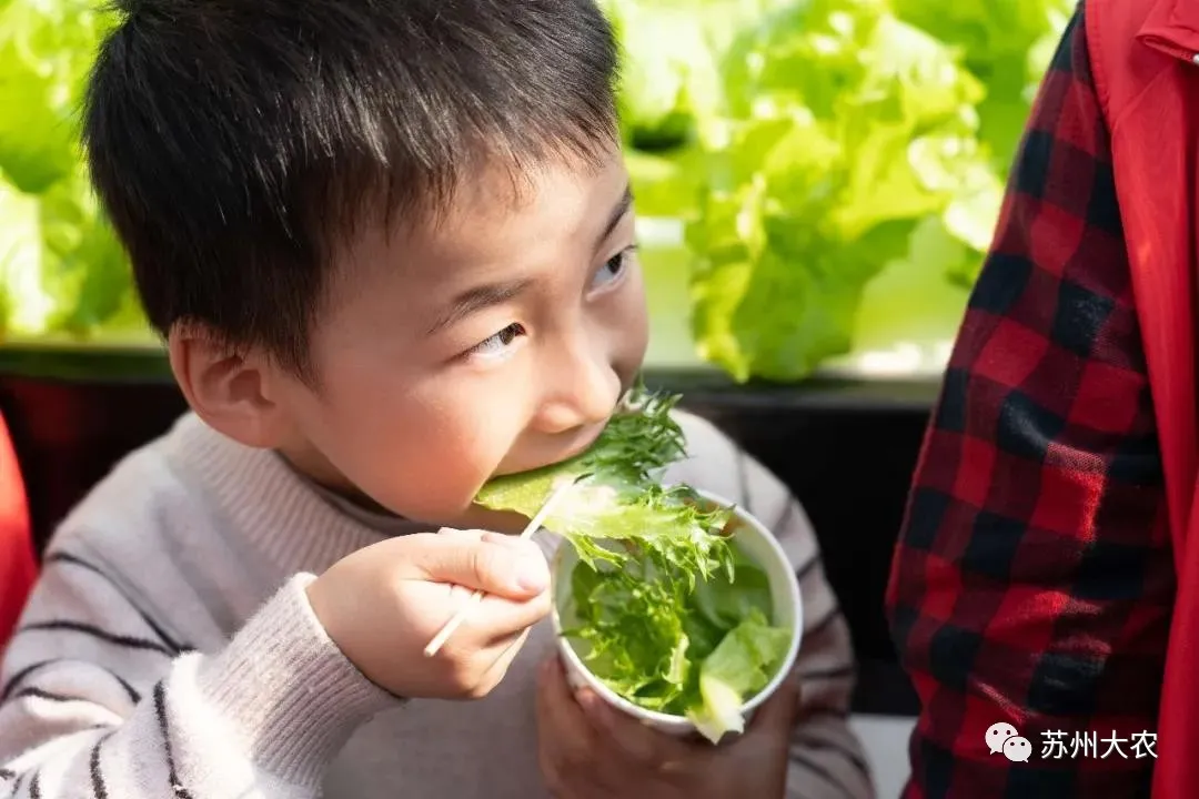 蜜桃成品人视频免费入口