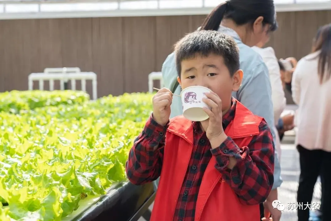 蜜桃成品人视频免费入口