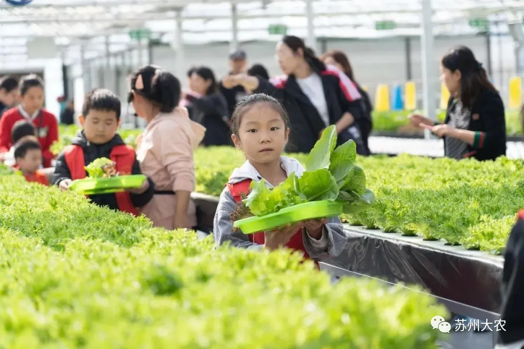 蜜桃成品人视频免费入口