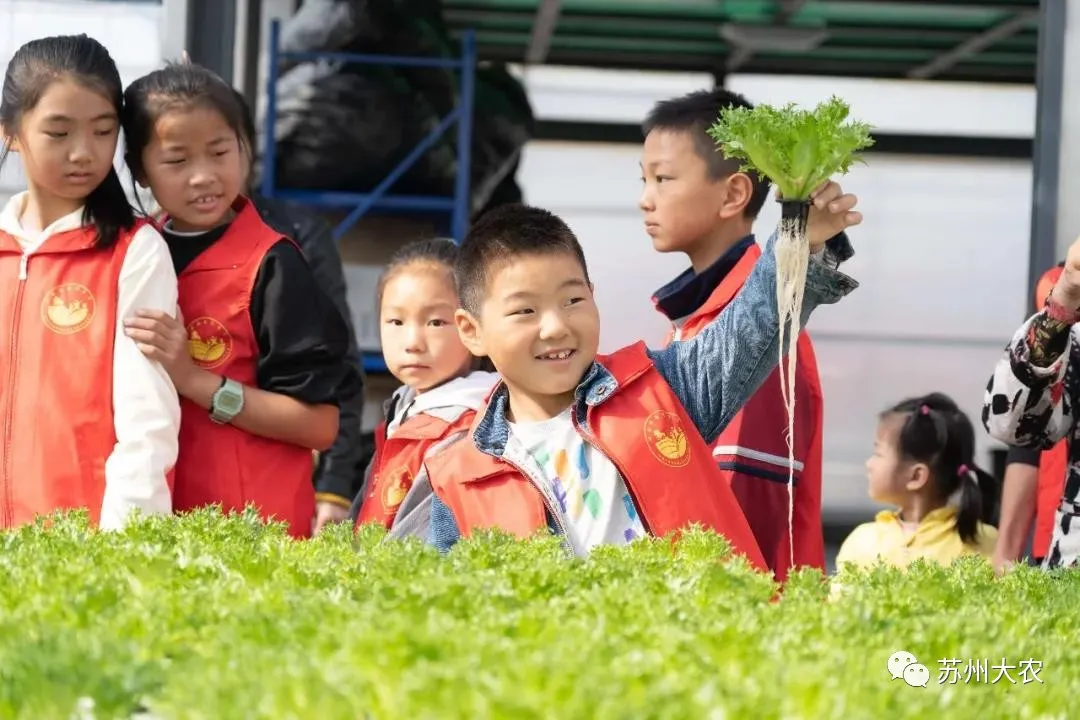蜜桃成品人视频免费入口