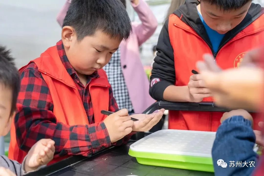 蜜桃成品人视频免费入口