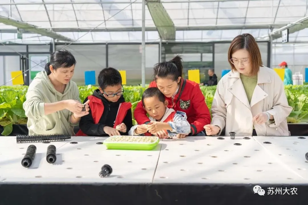 蜜桃成品人视频免费入口