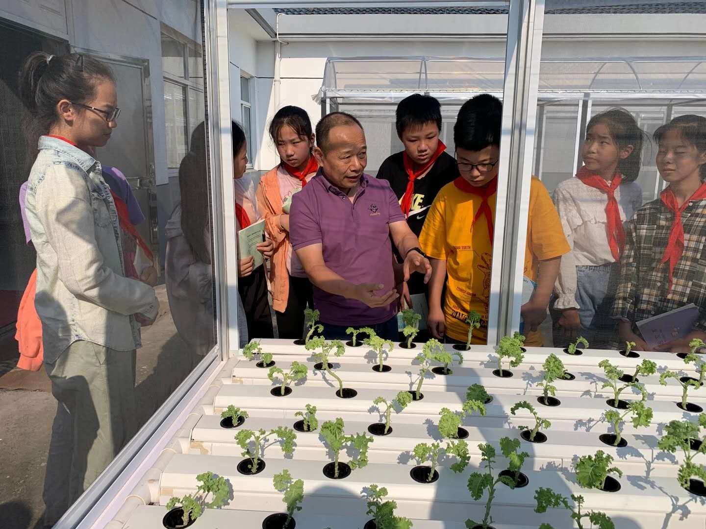 蜜桃成品人视频免费入口