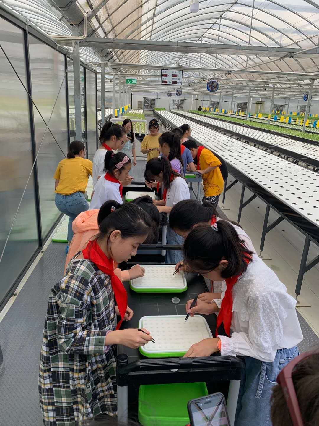 蜜桃成品人视频免费入口