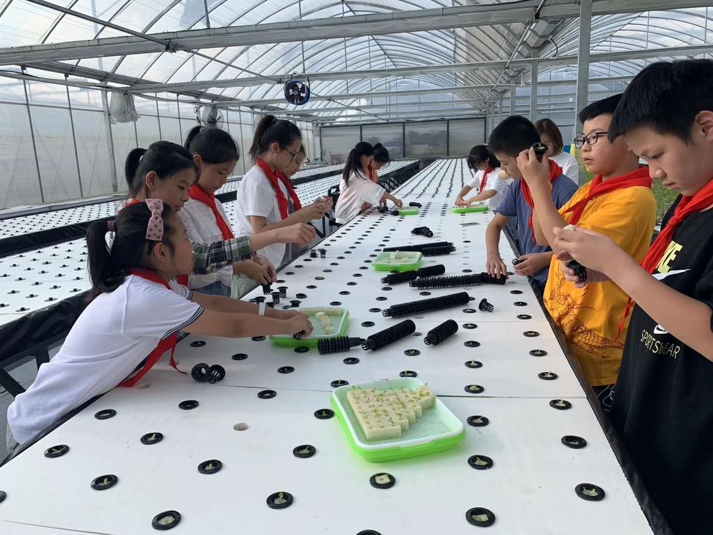 蜜桃成品人视频免费入口