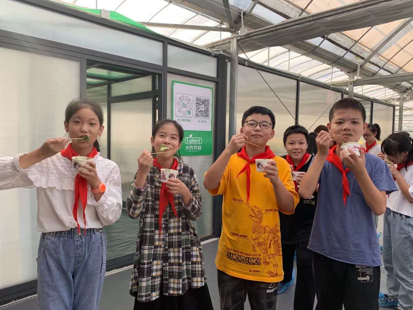 蜜桃成品人视频免费入口