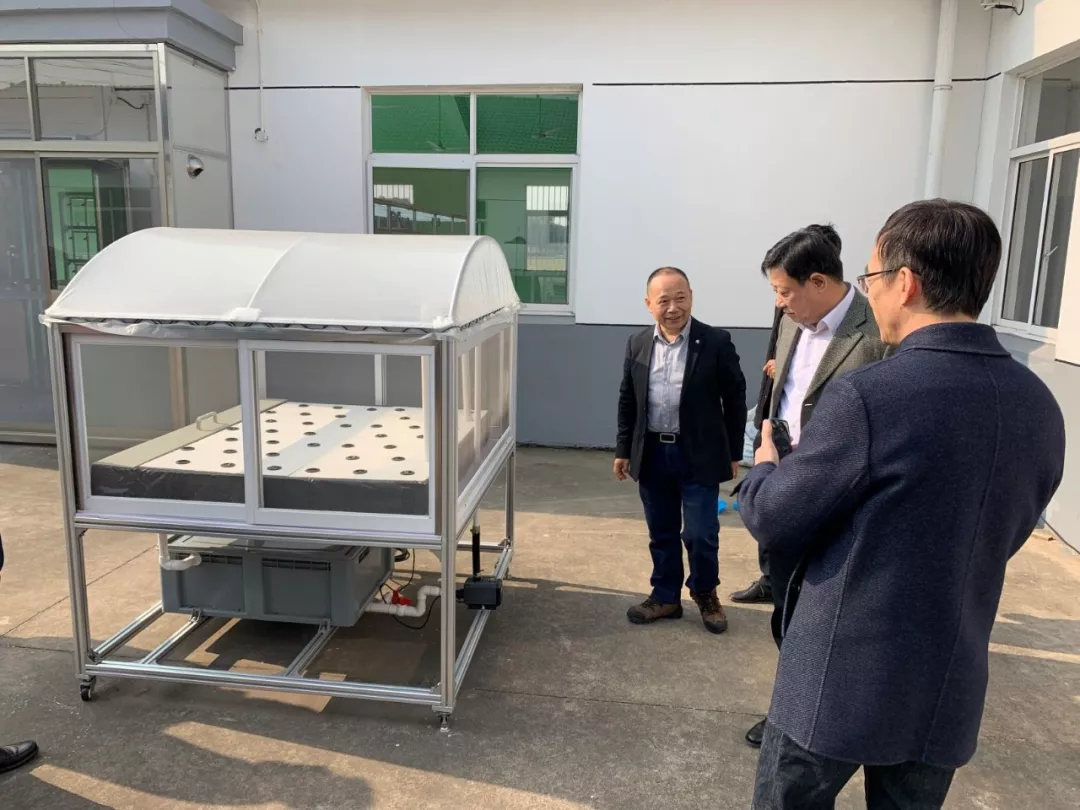 蜜桃成品人视频免费入口