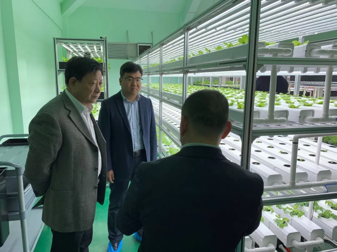 蜜桃成品人视频免费入口