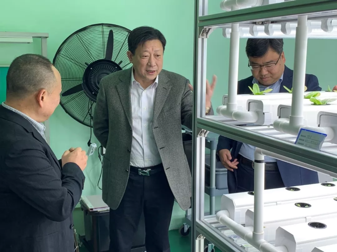 蜜桃成品人视频免费入口