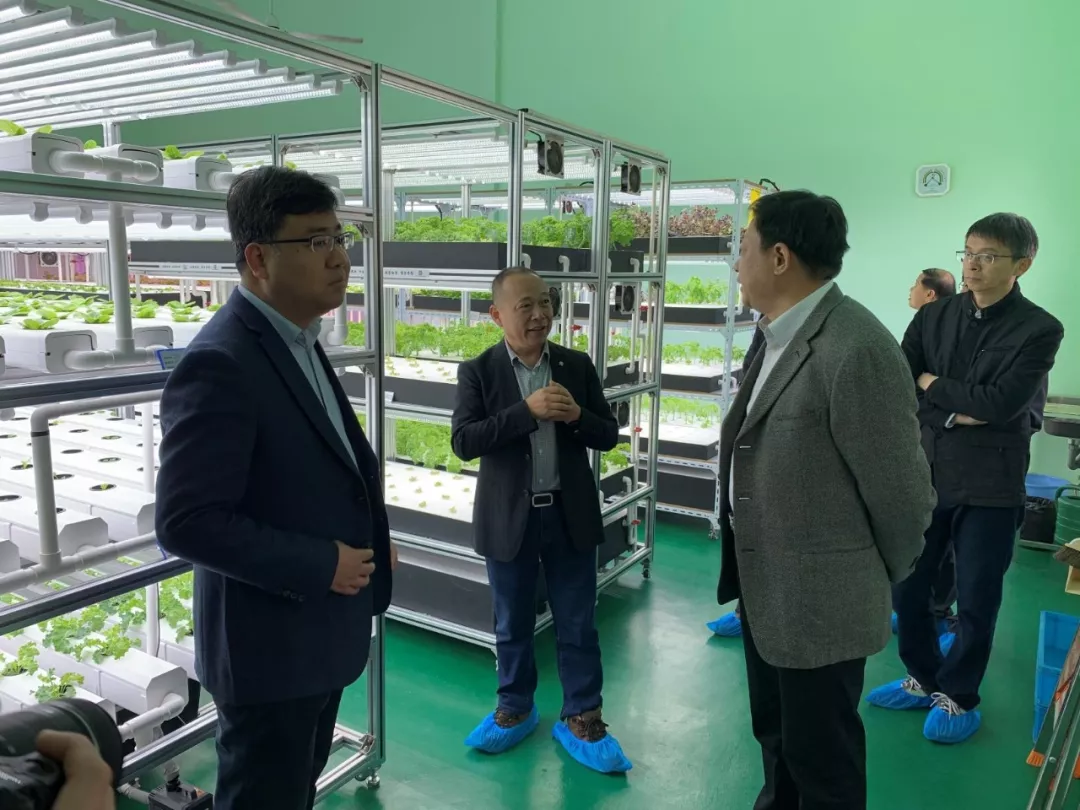 蜜桃成品人视频免费入口