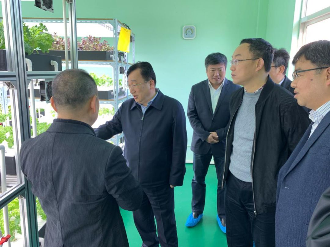 蜜桃成品人视频免费入口