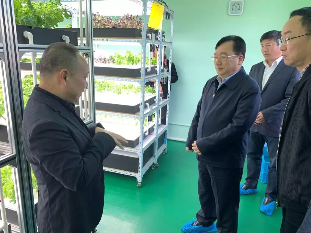 蜜桃成品人视频免费入口