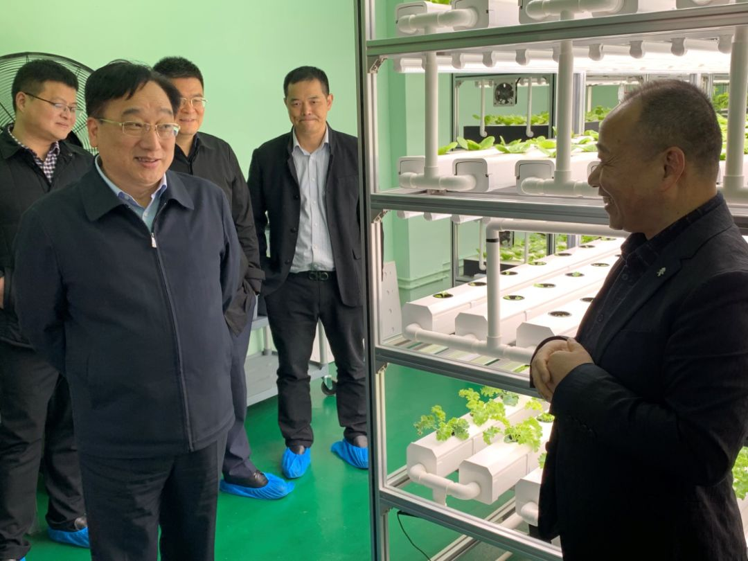 蜜桃成品人视频免费入口