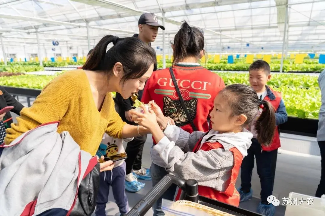 蜜桃成品人视频免费入口