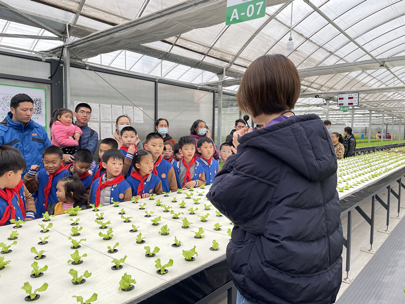 蜜桃成品人视频免费入口