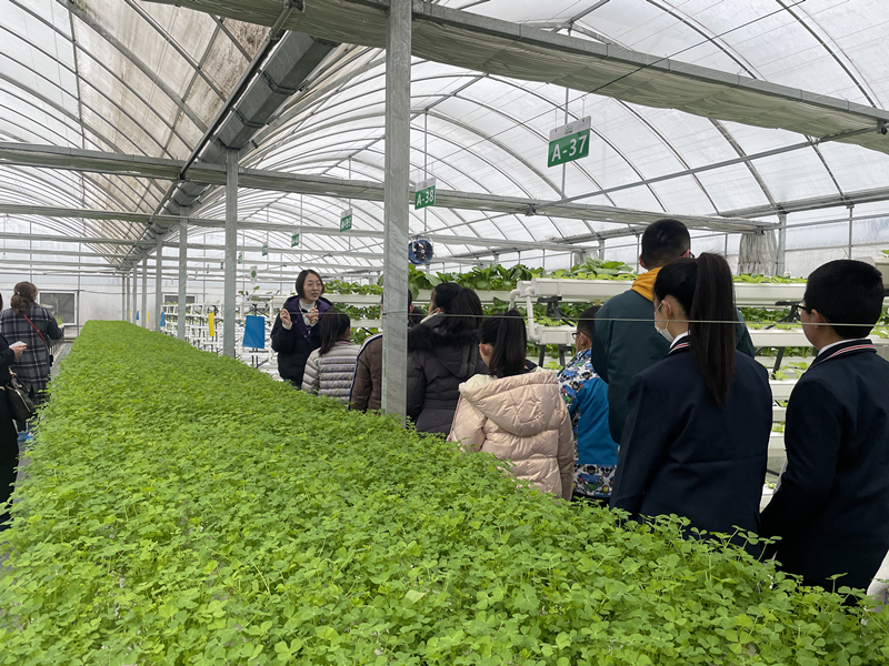 蜜桃成品人视频免费入口