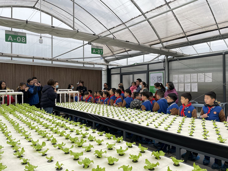 蜜桃成品人视频免费入口