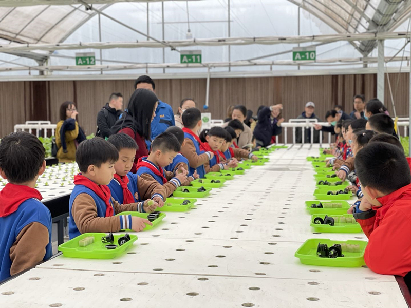 蜜桃成品人视频免费入口